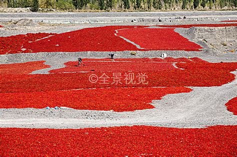 高速公路旁的白花